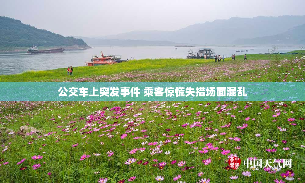 公交车上突发事件 乘客惊慌失措场面混乱