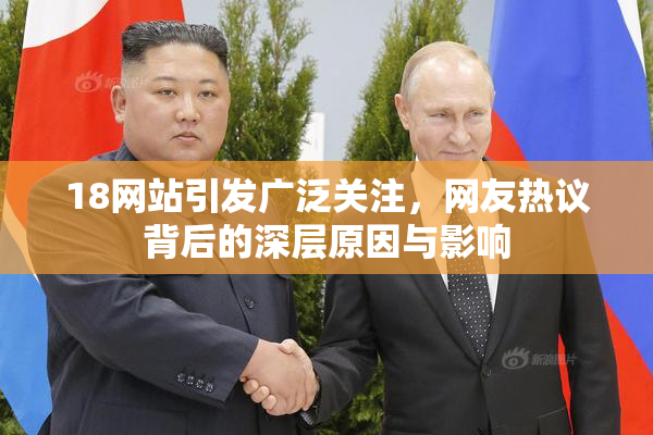 18网站引发广泛关注，网友热议背后的深层原因与影响