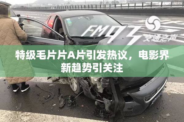 特级毛片片A片引发热议，电影界新趋势引关注