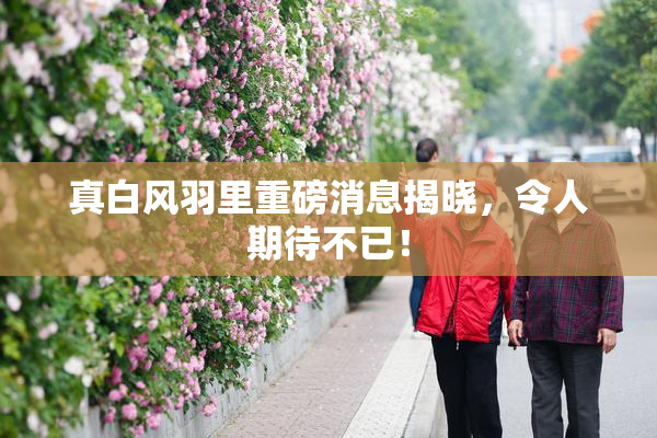 真白风羽里重磅消息揭晓，令人期待不已！