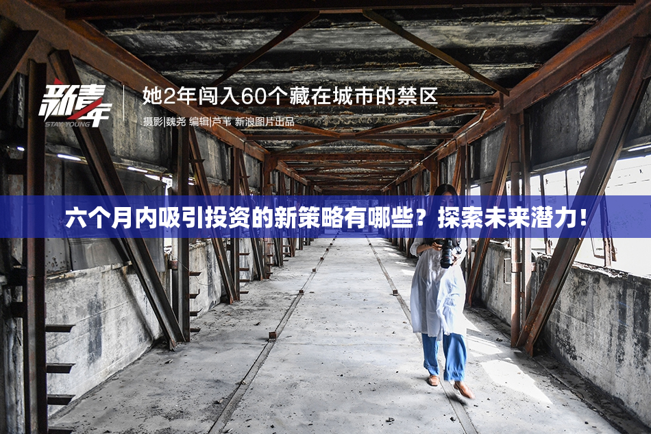 六个月内吸引投资的新策略有哪些？探索未来潜力！