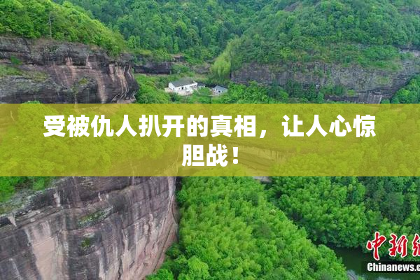 受被仇人扒开的真相，让人心惊胆战！