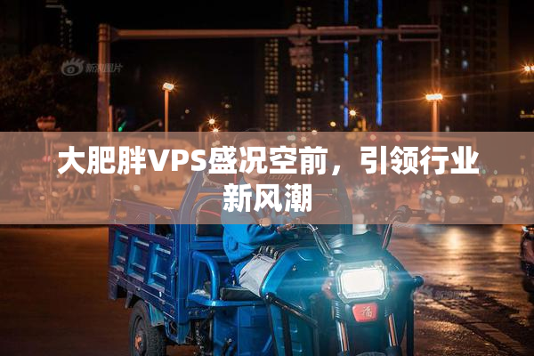 大肥胖VPS盛况空前，引领行业新风潮