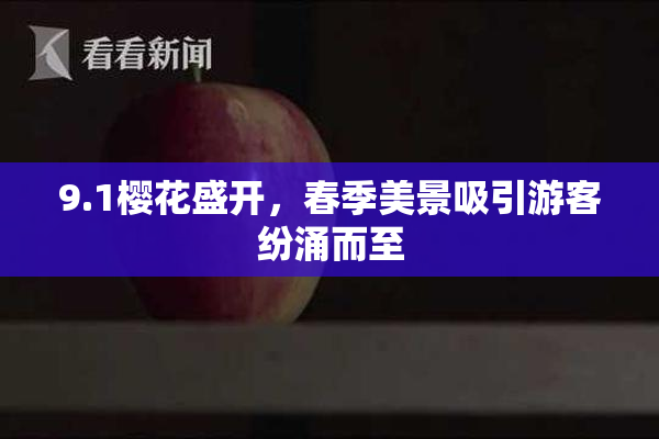 9.1樱花盛开，春季美景吸引游客纷涌而至