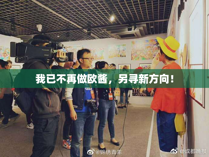 我已不再做欧酱，另寻新方向！