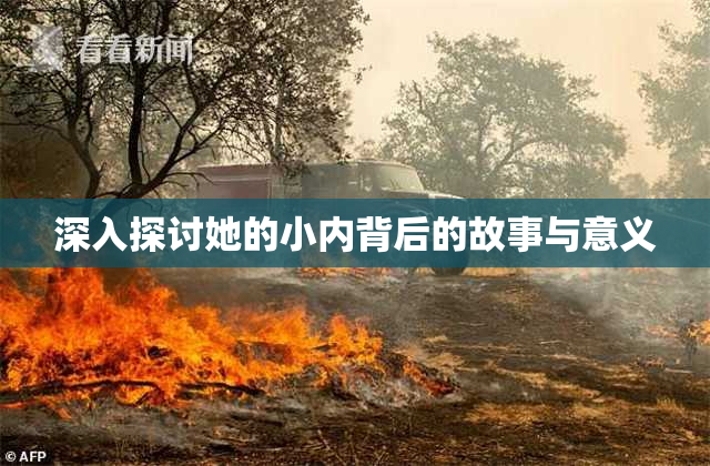 深入探讨她的小内背后的故事与意义