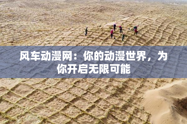 风车动漫网：你的动漫世界，为你开启无限可能