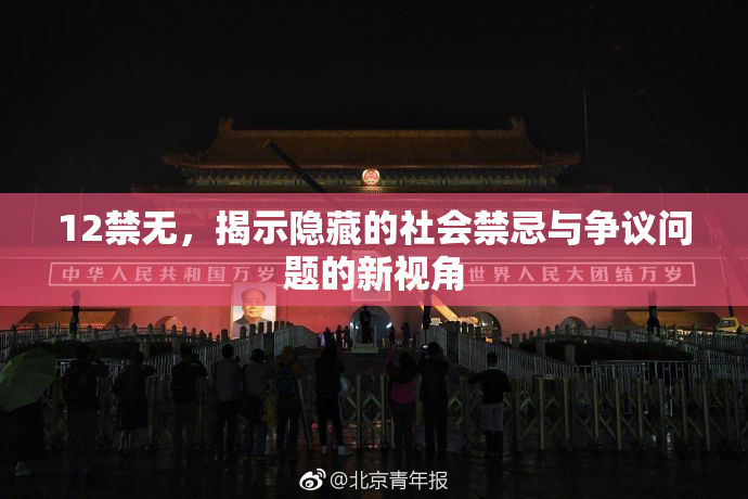 12禁无，揭示隐藏的社会禁忌与争议问题的新视角