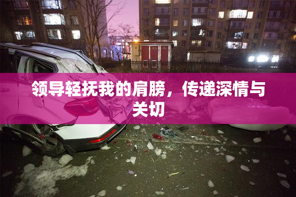 领导轻抚我的肩膀，传递深情与关切