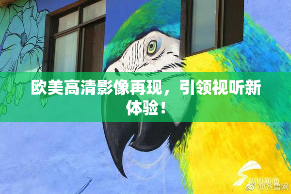 欧美高清影像再现，引领视听新体验！