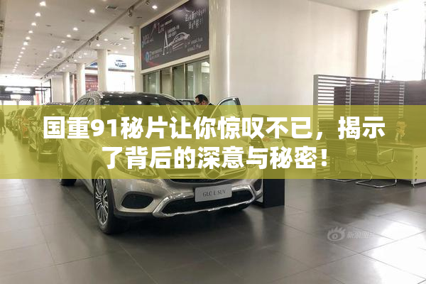 国重91秘片让你惊叹不已，揭示了背后的深意与秘密！