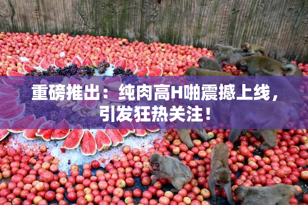 重磅推出：纯肉高H啪震撼上线，引发狂热关注！
