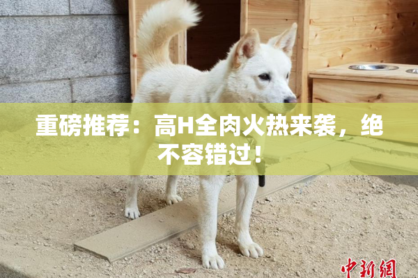 重磅推荐：高H全肉火热来袭，绝不容错过！
