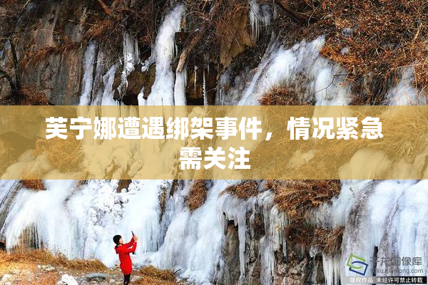 芙宁娜遭遇绑架事件，情况紧急需关注