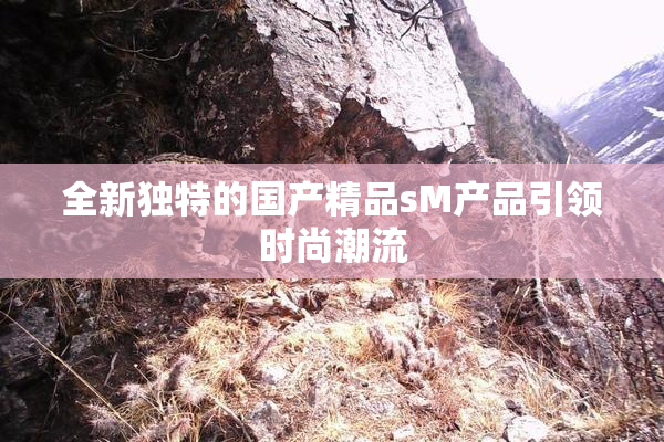 全新独特的国产精品sM产品引领时尚潮流