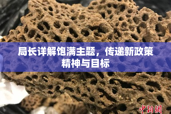 局长详解饱满主题，传递新政策精神与目标