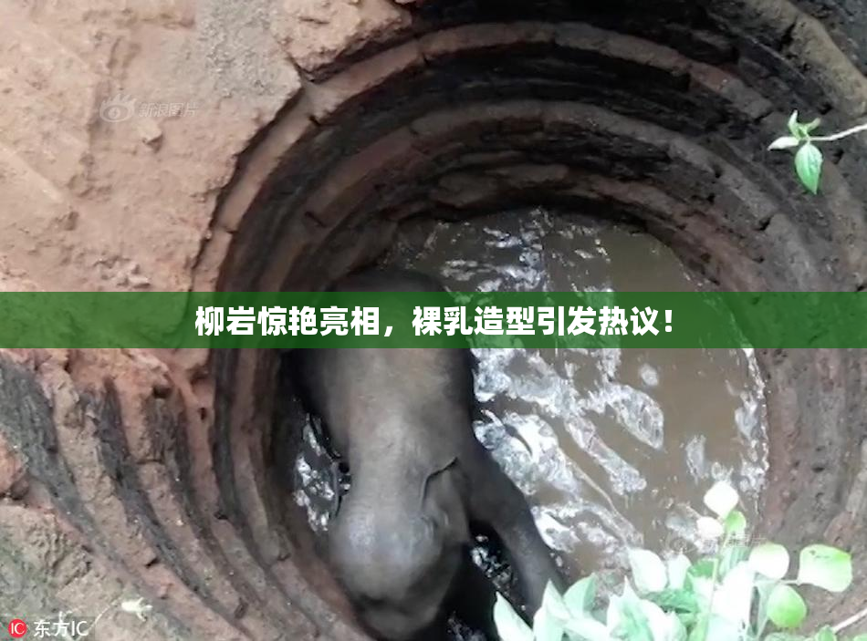 柳岩惊艳亮相，裸乳造型引发热议！