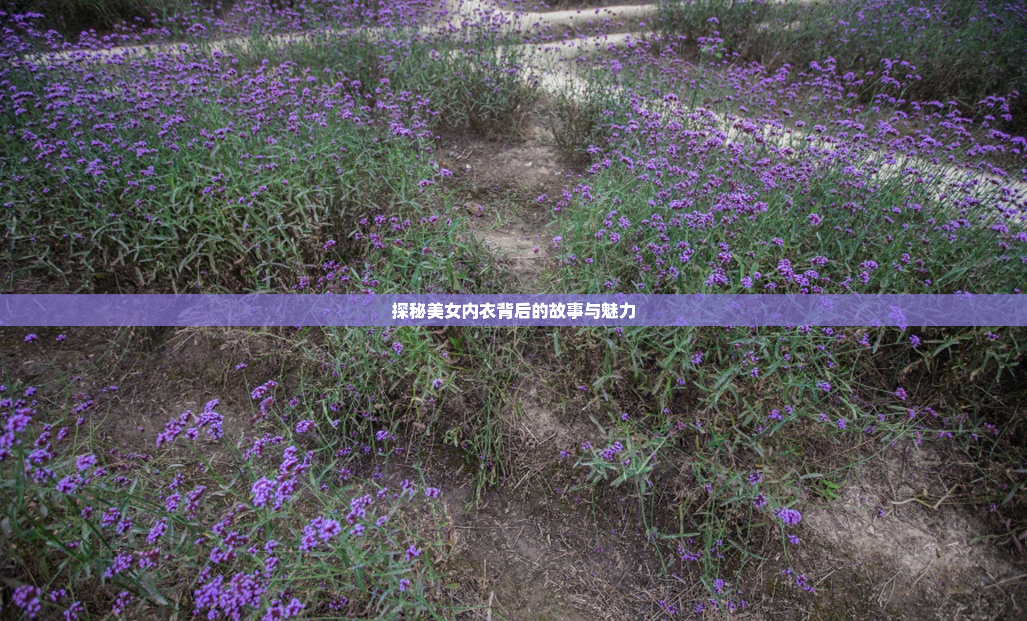 探秘美女内衣背后的故事与魅力