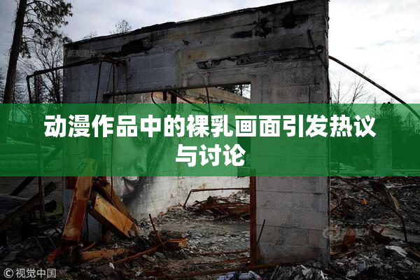 动漫作品中的裸乳画面引发热议与讨论