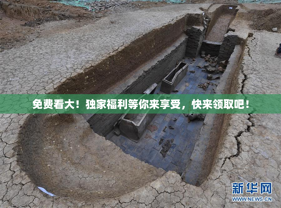 免费看大！独家福利等你来享受，快来领取吧！