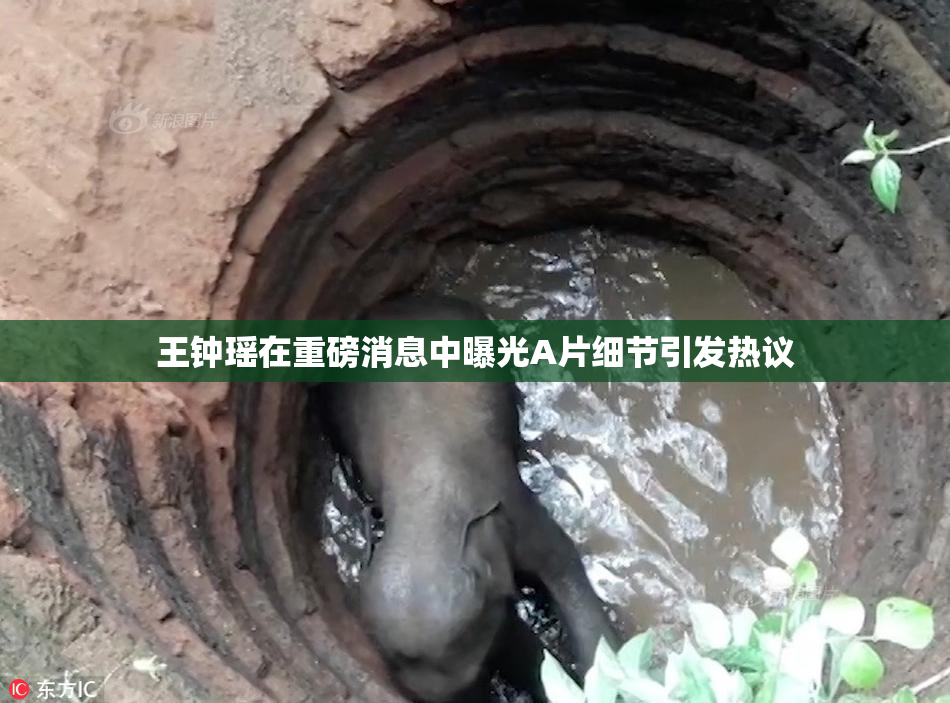 王钟瑶在重磅消息中曝光A片细节引发热议