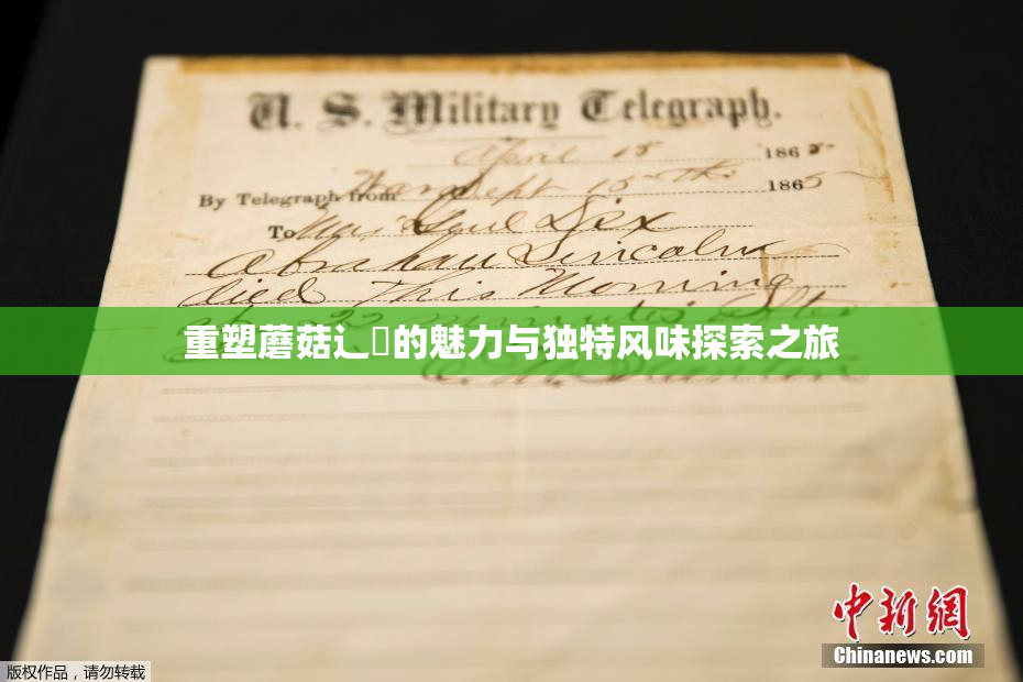 重塑蘑菇辶喿的魅力与独特风味探索之旅