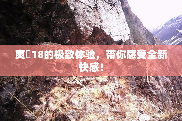 爽擼18的极致体验，带你感受全新快感！