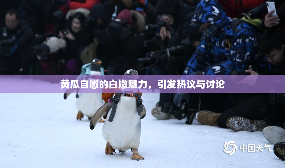黄瓜自慰的白嫩魅力，引发热议与讨论