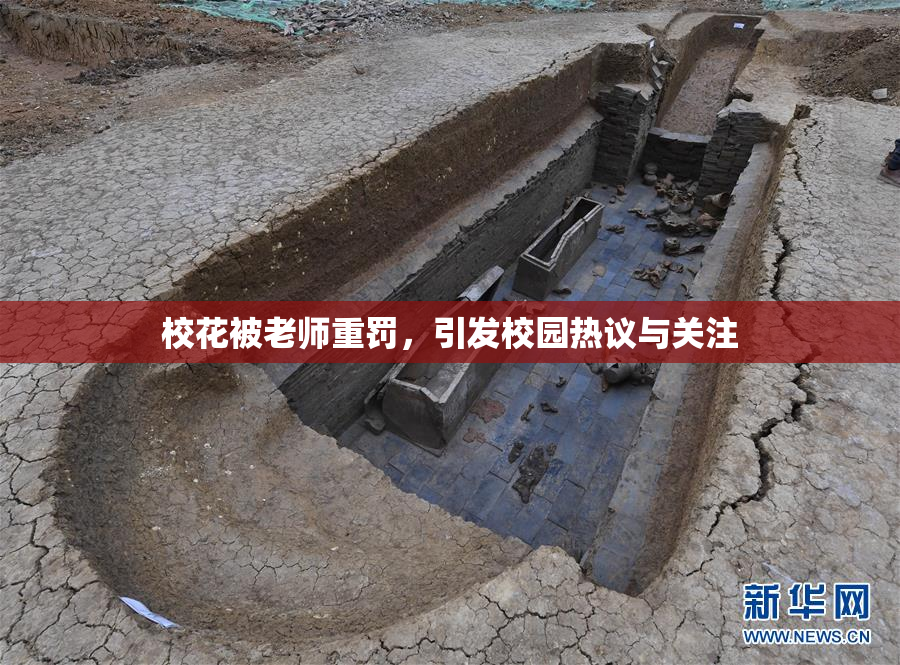 校花被老师重罚，引发校园热议与关注