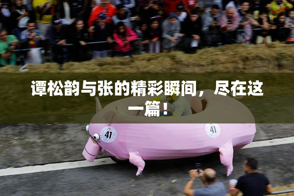 谭松韵与张的精彩瞬间，尽在这一篇！
