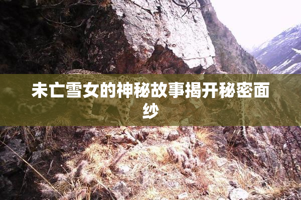 未亡雪女的神秘故事揭开秘密面纱