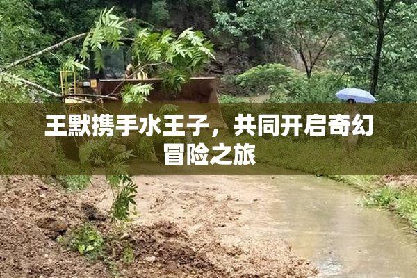 王默携手水王子，共同开启奇幻冒险之旅