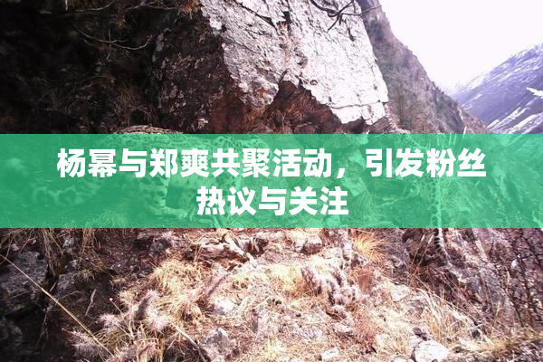 杨幂与郑爽共聚活动，引发粉丝热议与关注