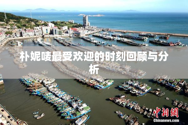朴妮唛最受欢迎的时刻回顾与分析