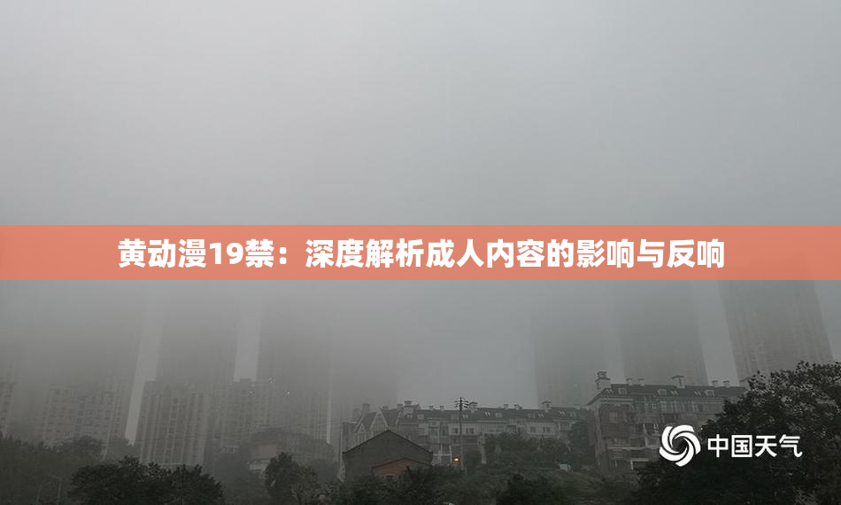 黄动漫19禁：深度解析成人内容的影响与反响