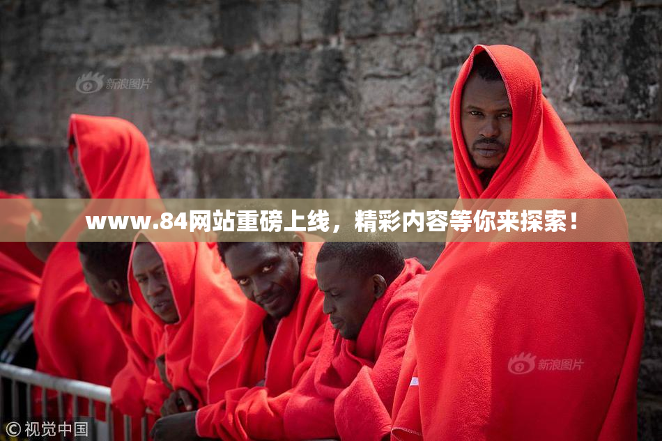 www.84网站重磅上线，精彩内容等你来探索！