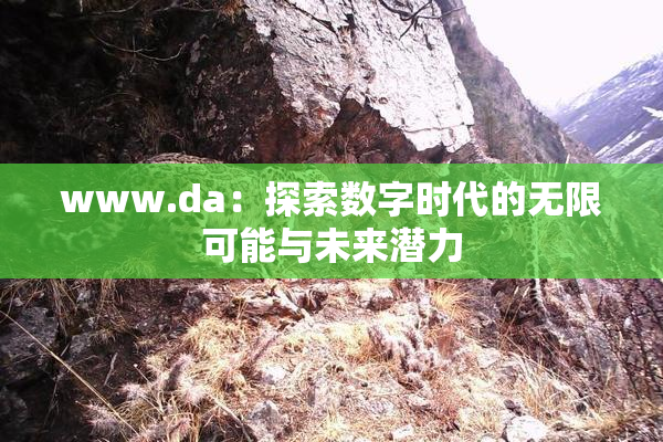 www.da：探索数字时代的无限可能与未来潜力