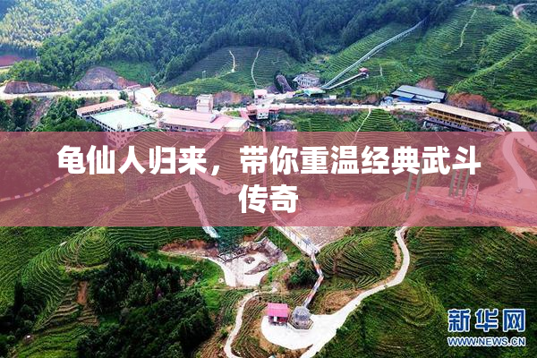 龟仙人归来，带你重温经典武斗传奇