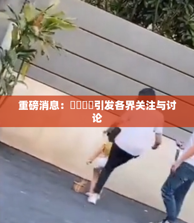 重磅消息：馃悢馃悢引发各界关注与讨论