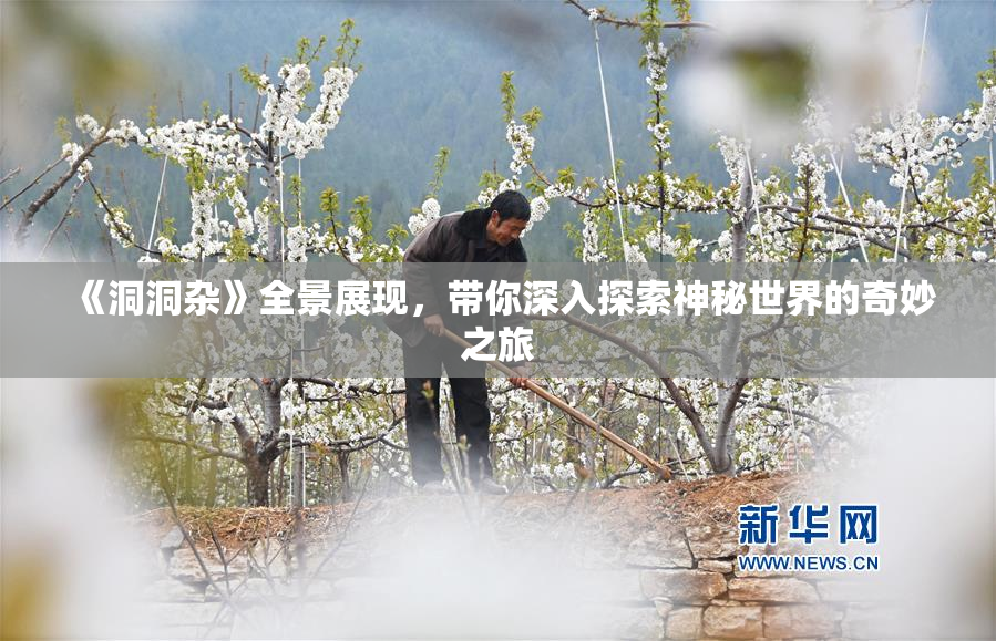 《洞洞杂》全景展现，带你深入探索神秘世界的奇妙之旅
