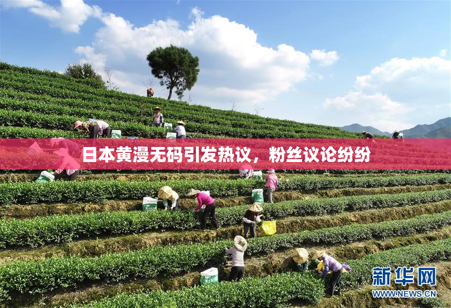 日本黄漫无码引发热议，粉丝议论纷纷