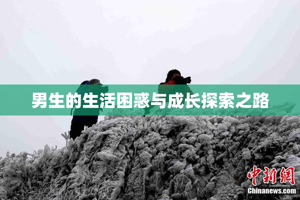 男生的生活困惑与成长探索之路