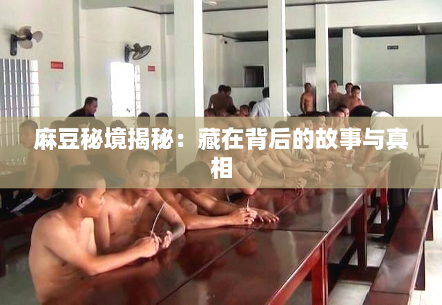 麻豆秘境揭秘：藏在背后的故事与真相