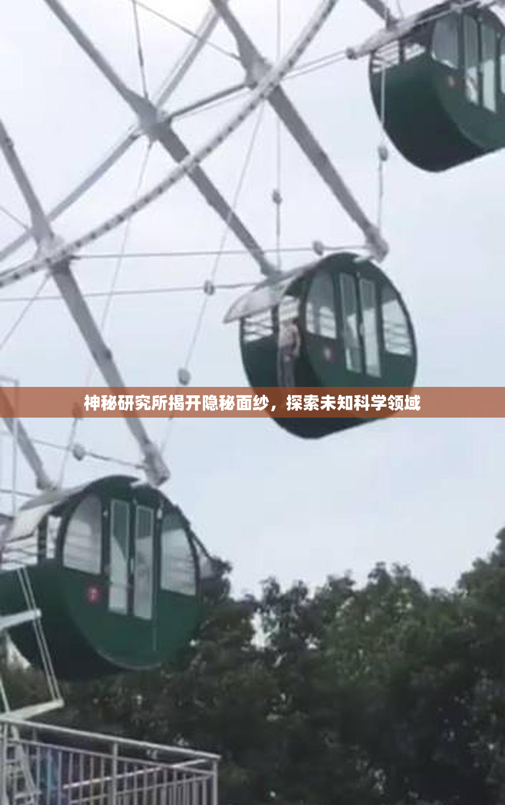 神秘研究所揭开隐秘面纱，探索未知科学领域