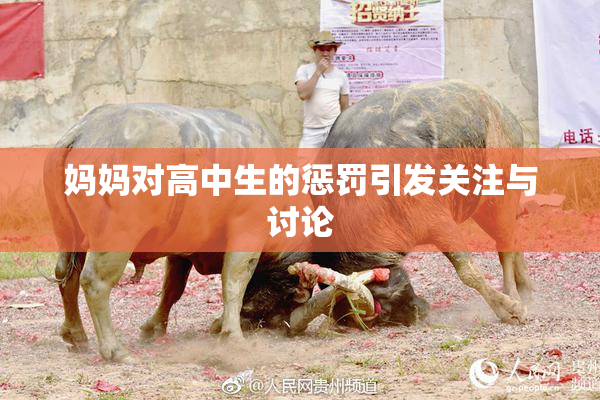 妈妈对高中生的惩罚引发关注与讨论