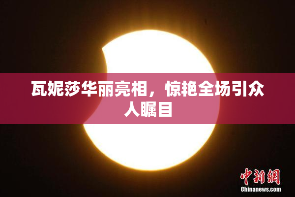 瓦妮莎华丽亮相，惊艳全场引众人瞩目