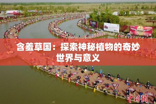 含羞草国：探索神秘植物的奇妙世界与意义