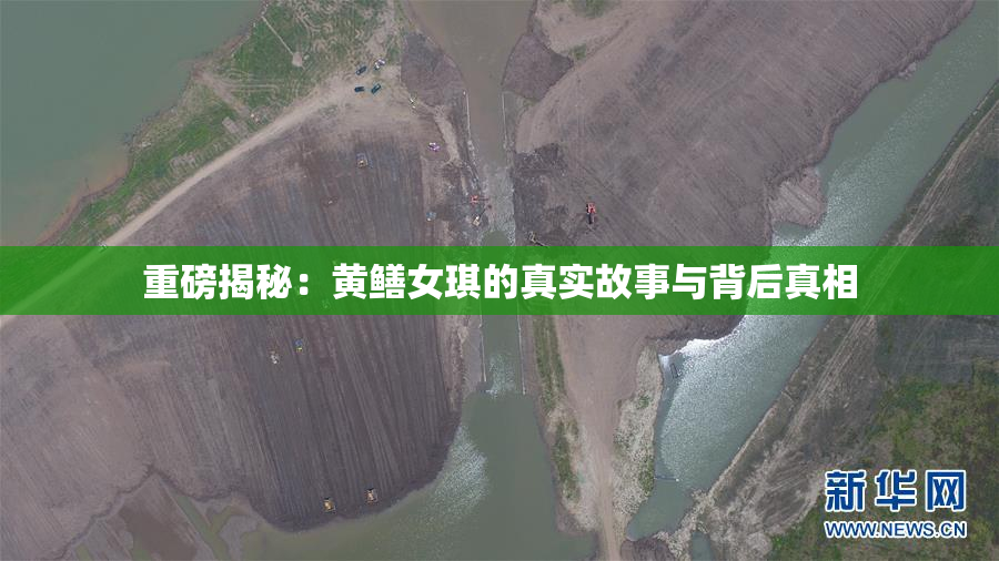 重磅揭秘：黄鳝女琪的真实故事与背后真相