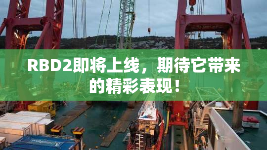 RBD2即将上线，期待它带来的精彩表现！