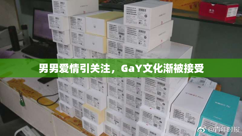 男男爱情引关注，GaY文化渐被接受